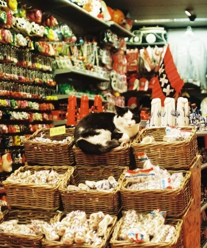 Toko Batu Alam Jogja: Pilihan Terbaik untuk Keindahan Rumah Anda