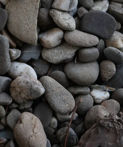 Harga Batu Alam Templek: Pilihan Terbaik untuk Proyek Anda