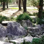 Mengenal Batu Setapak: Keindahan dan Fungsinya di Taman Anda