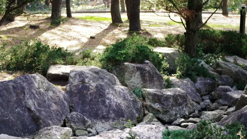 Mengenal Batu Setapak: Keindahan dan Fungsinya di Taman Anda