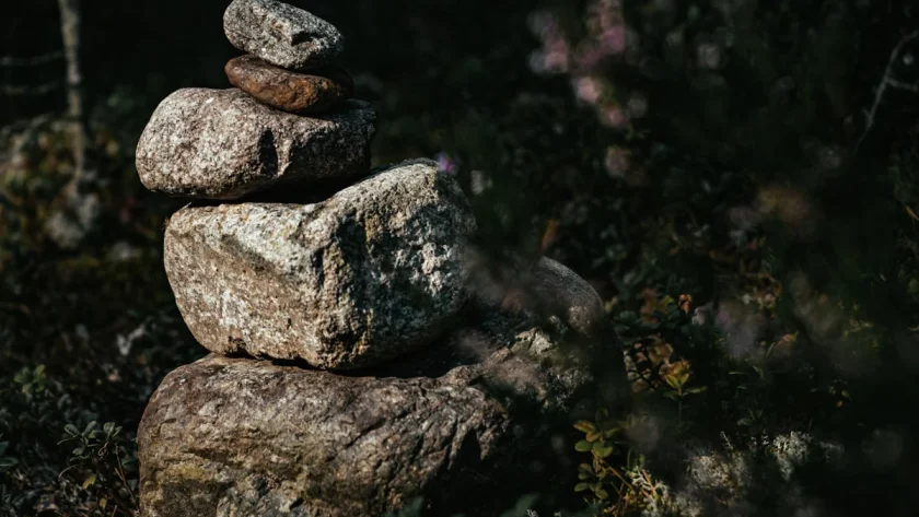 Keindahan dan Manfaat Sikumbang Batu Alam untuk Rumah Anda