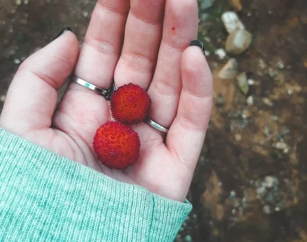 Keindahan Batu Alam Merah: Mengapa Anda Harus Memilihnya untuk Desain Interior
