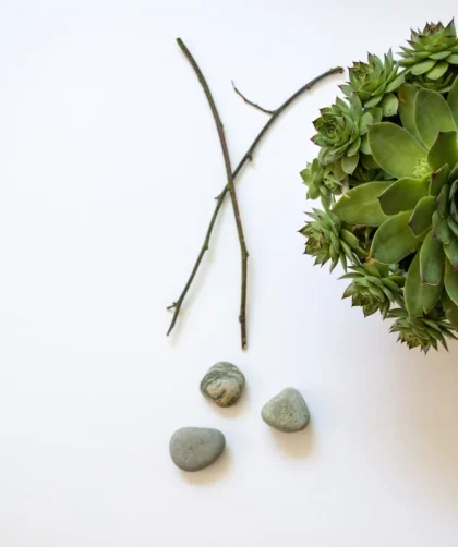 Keindahan Batu Alam 20x40: Solusi Elegan untuk Desain Interior dan Eksterior