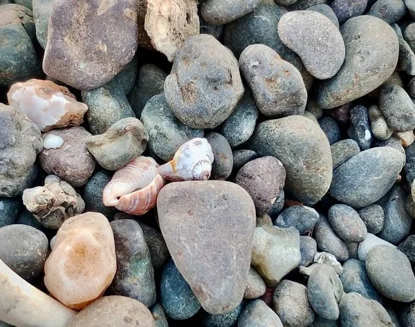 Mengenal Batu Alam Buatan: Estetika dan Ketahanan dalam Desain Interior