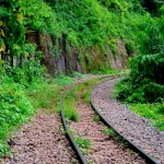 Tren Batu Alam Terbaru: Pilihan Terbaik untuk Dekorasi Rumah Anda