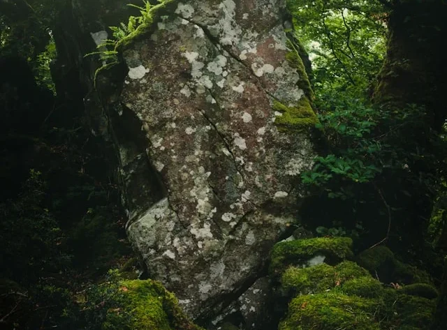 Menjelajahi Keindahan dan Jenis-Jenis Batu Alam yang Menakjubkan