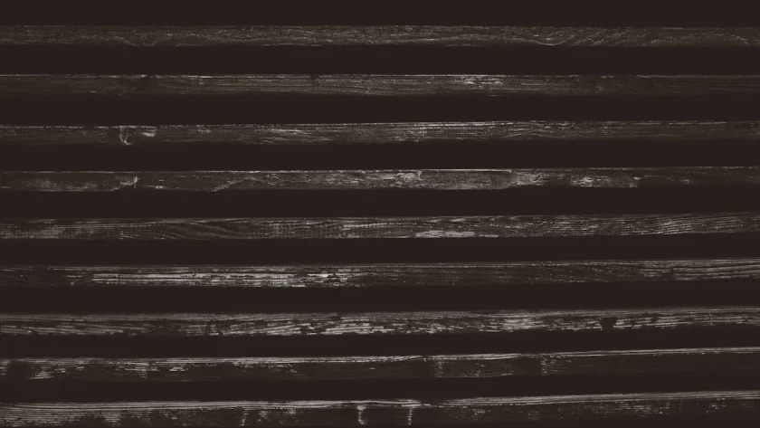 Mengenal Panel Batu Alam: Estetika dan Keberlanjutan dalam Desain Interior