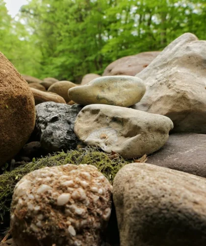 Transformasi Ruang dengan Batu Alam 3D: Estetika dan Keberlanjutan