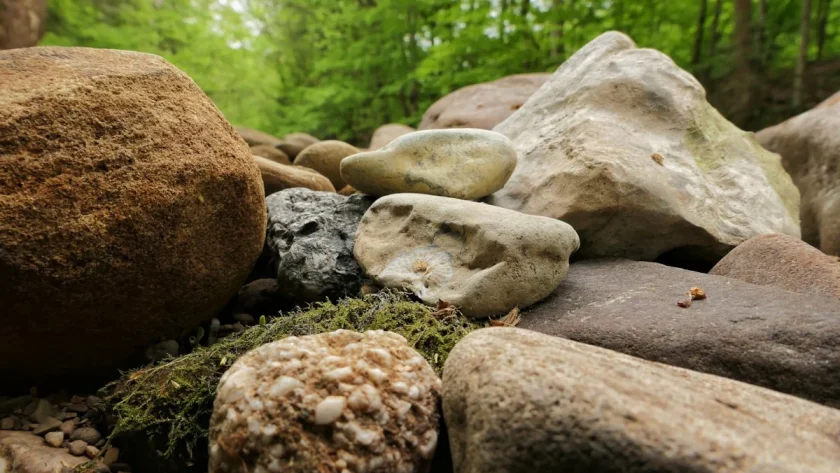 Transformasi Ruang dengan Batu Alam 3D: Estetika dan Keberlanjutan