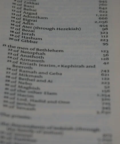 Daftar Harga Batu Alam Terlengkap dan Terupdate 2023