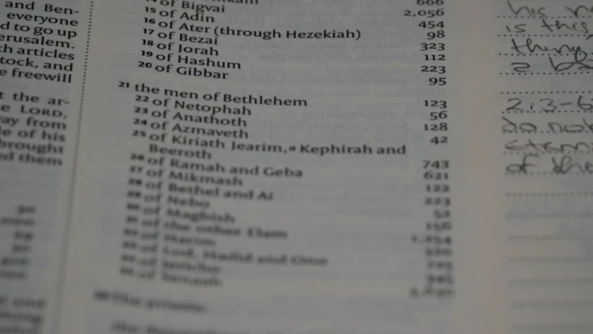 Daftar Harga Batu Alam Terlengkap dan Terupdate 2023