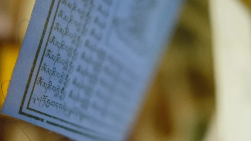 Daftar Harga Batu Alam Per Meter: Temukan Pilihan Terbaik untuk Proyek Anda